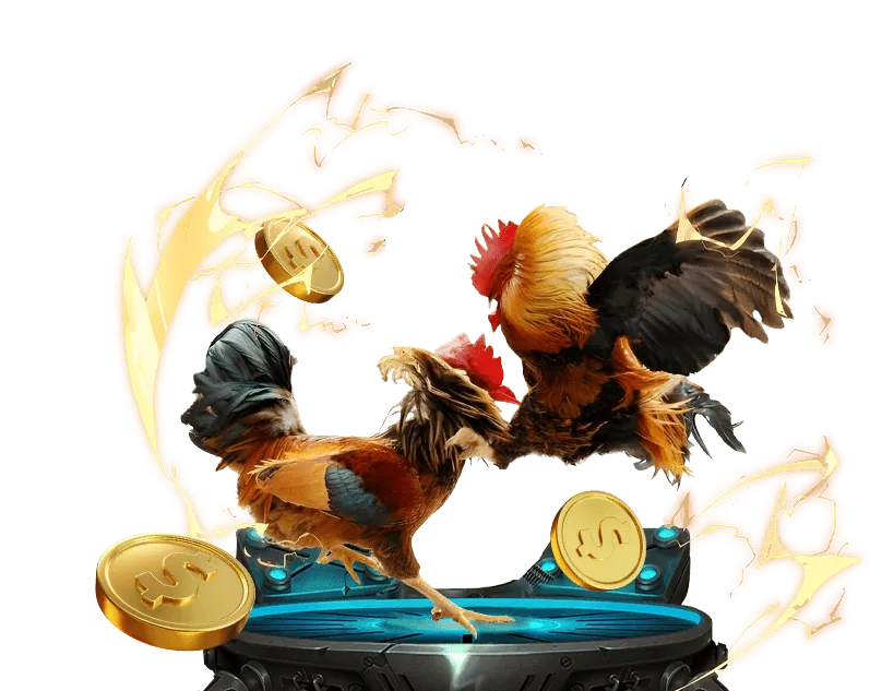 Chiến lược cá cược bóng đá TT3979 Win